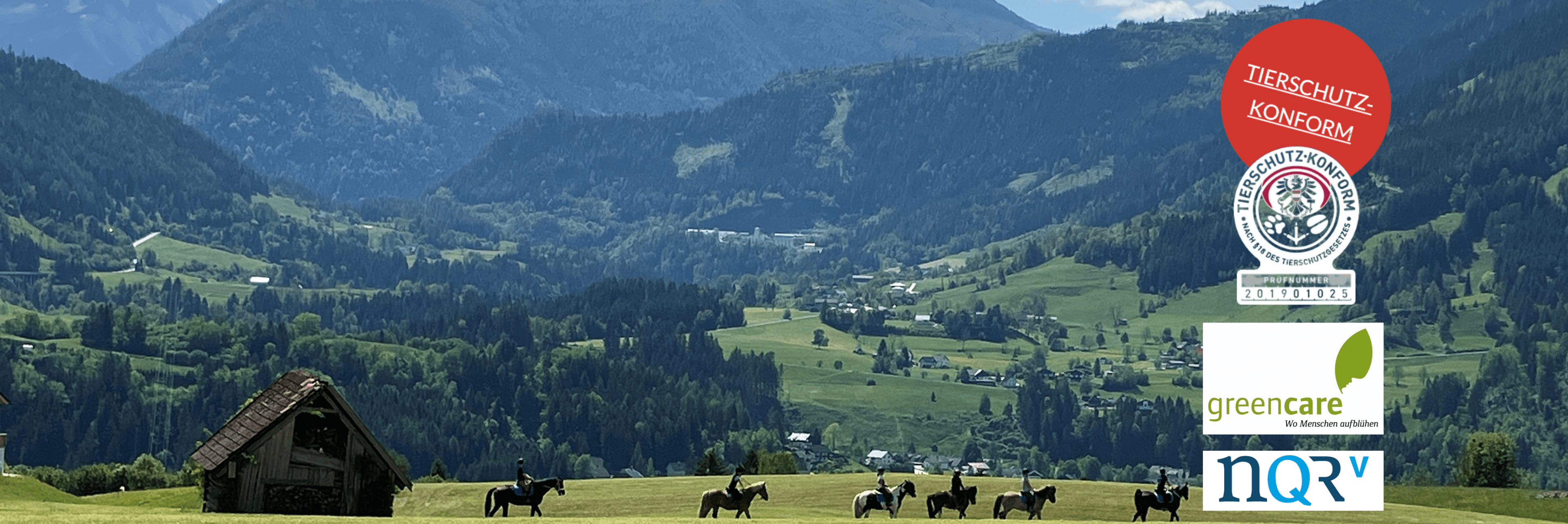 Finde einen Reitstall oder Reitpädagog*innen in deiner Nähe.