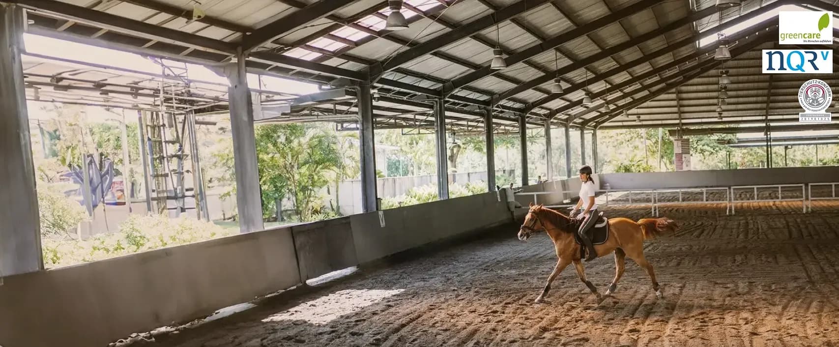 Finde einen Reitstall oder Reitpädagog*innen in deiner Nähe.