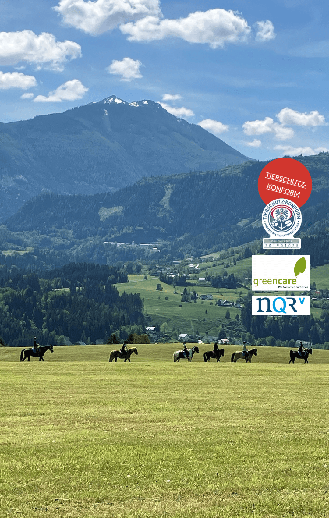 Finde einen Reitstall oder Reitpädagog*innen in deiner Nähe.