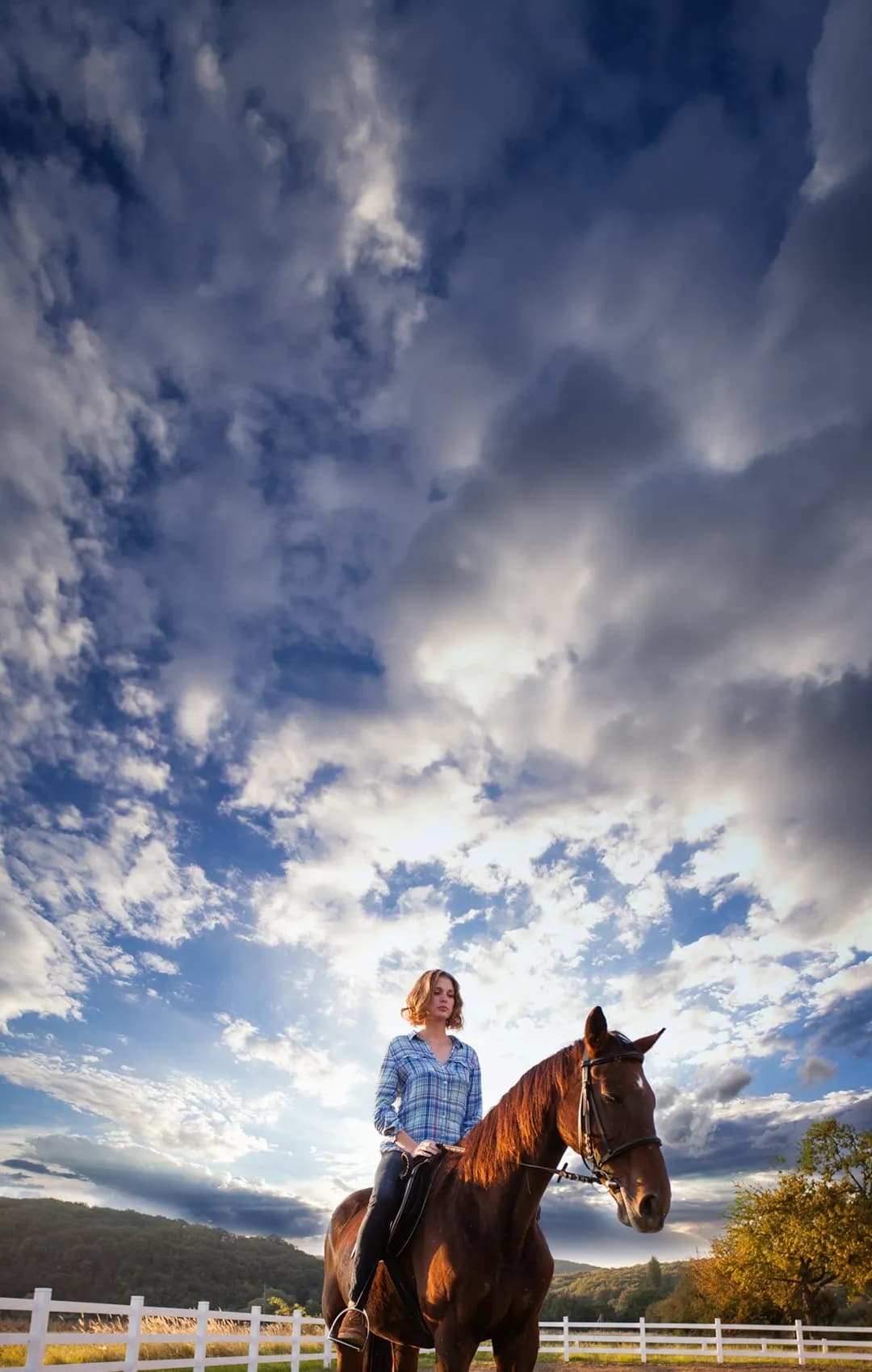 Finde einen Reitstall oder Reitpädagog*innen in deiner Nähe.